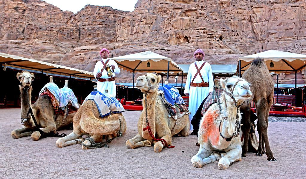 Sun City Camp Hotel Wadi Rum Eksteriør billede