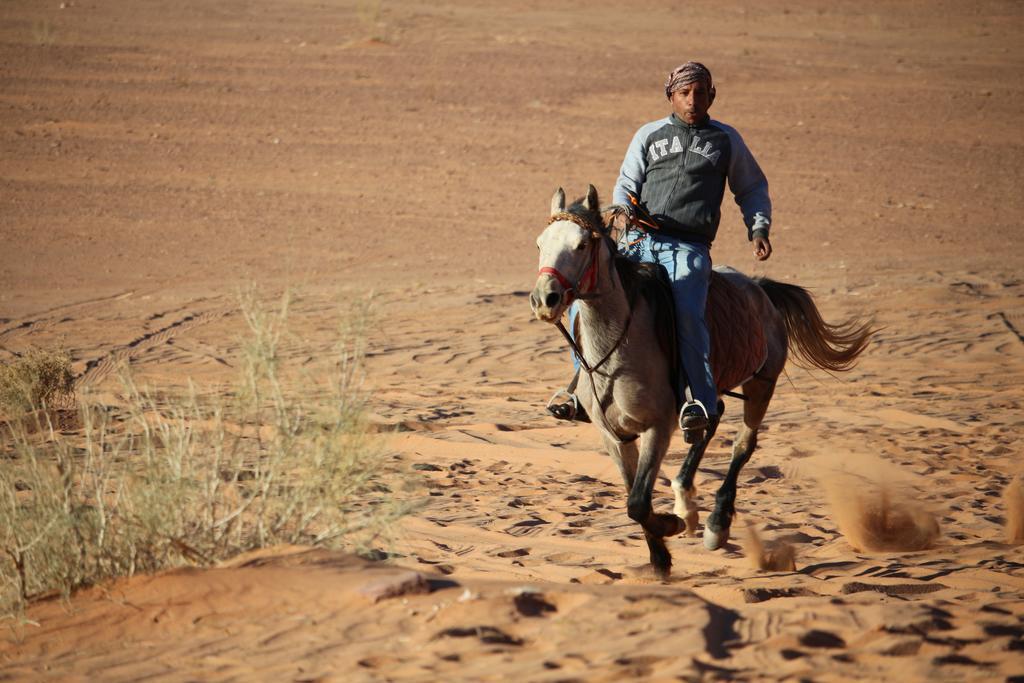 Sun City Camp Hotel Wadi Rum Eksteriør billede